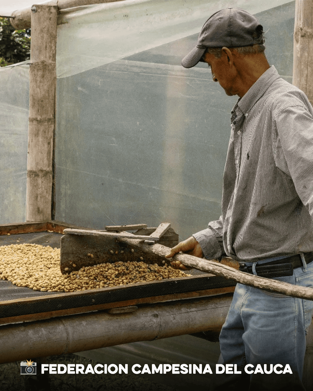 Colombia Cauca - Image 3