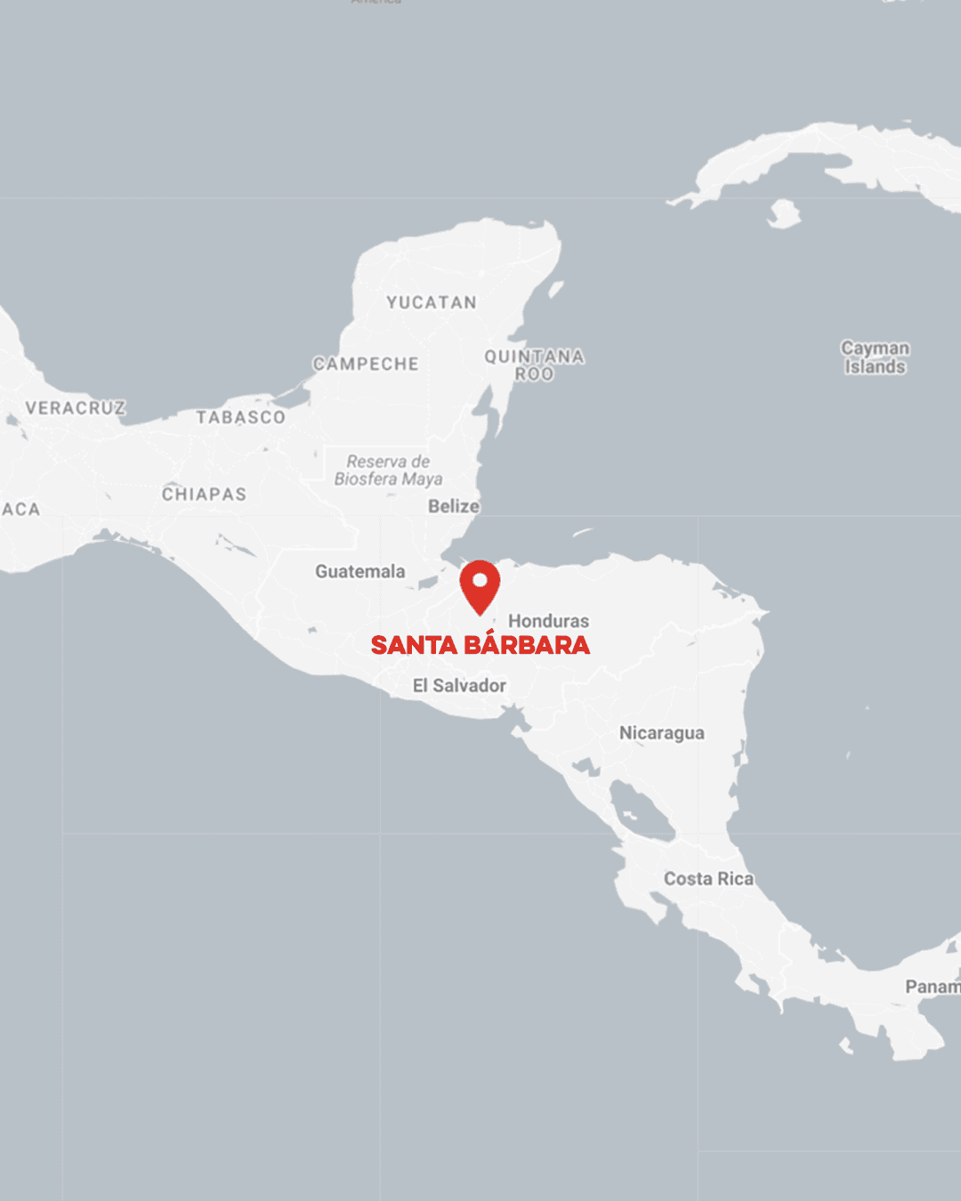 Honduras Parainema - Image 4